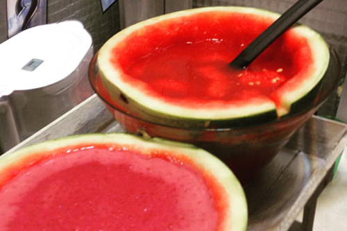 Watermelon Jello Shots